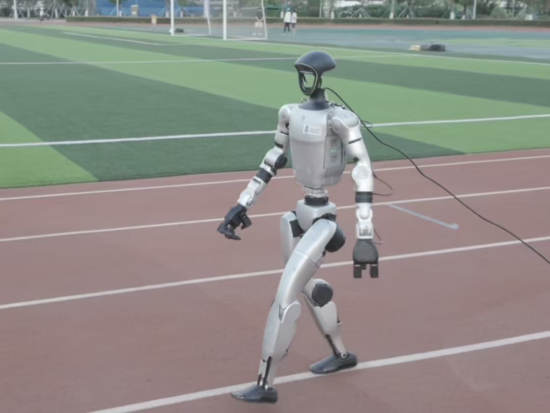 Biomechanical comparisons