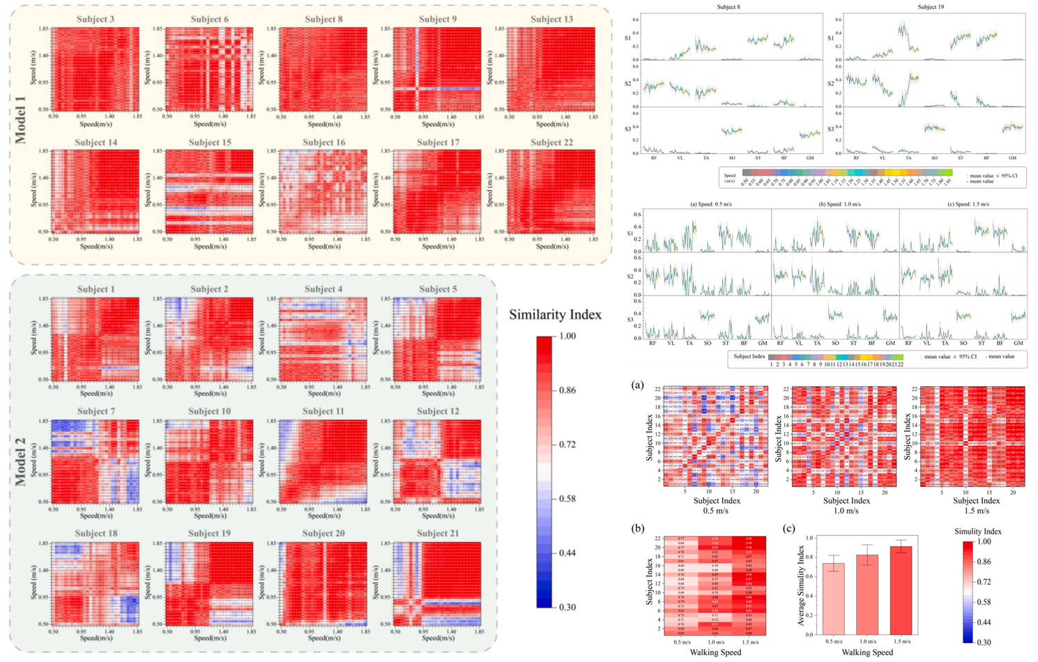 Synergy in Motion Exploring the Similarity and Variability of Muscle Synergy Patterns in Healthy Individuals 